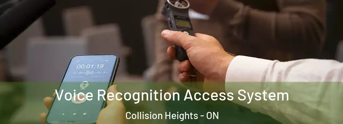  Voice Recognition Access System Collision Heights - ON
